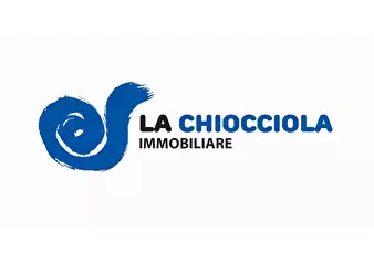 Logo D.I. Daniela Baldini