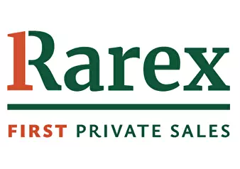 Logo RAREX S.R.L.