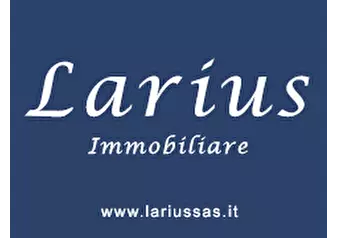 Logo Larius sas