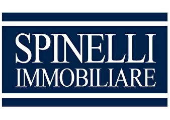 Logo Spinelli