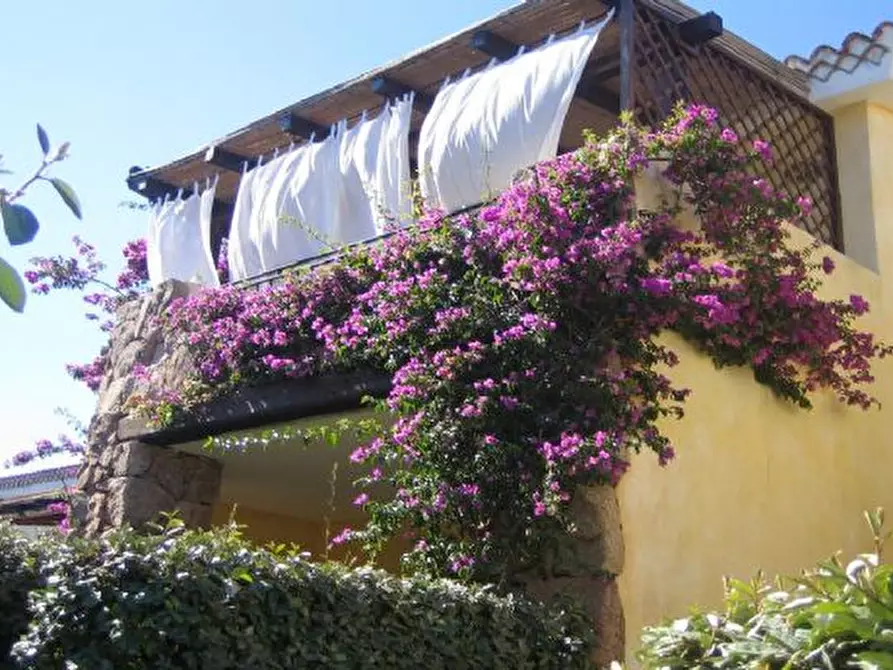 Immagine 1 di Villetta a schiera in affitto  in Via Vecchio Marino  a Palau