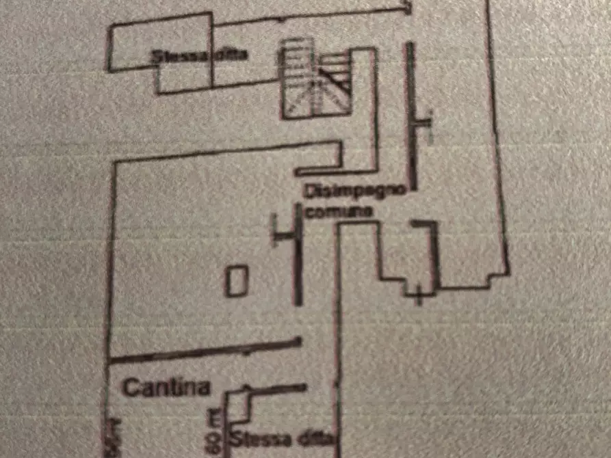 Immagine 9 di Cantina in affitto  in via Pandolfini a Firenze
