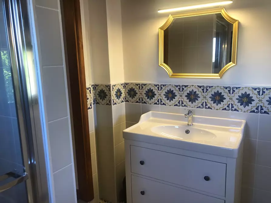 Immagine 21 di Appartamento in affitto  in via dei Serragli a Firenze