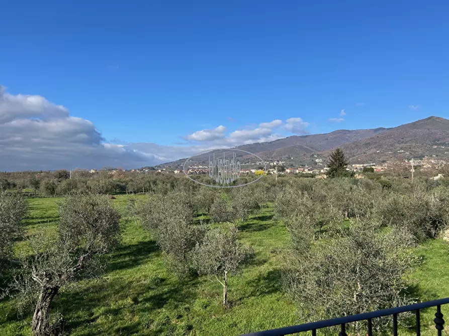 Immagine 2 di Villetta a schiera in affitto  a Reggello