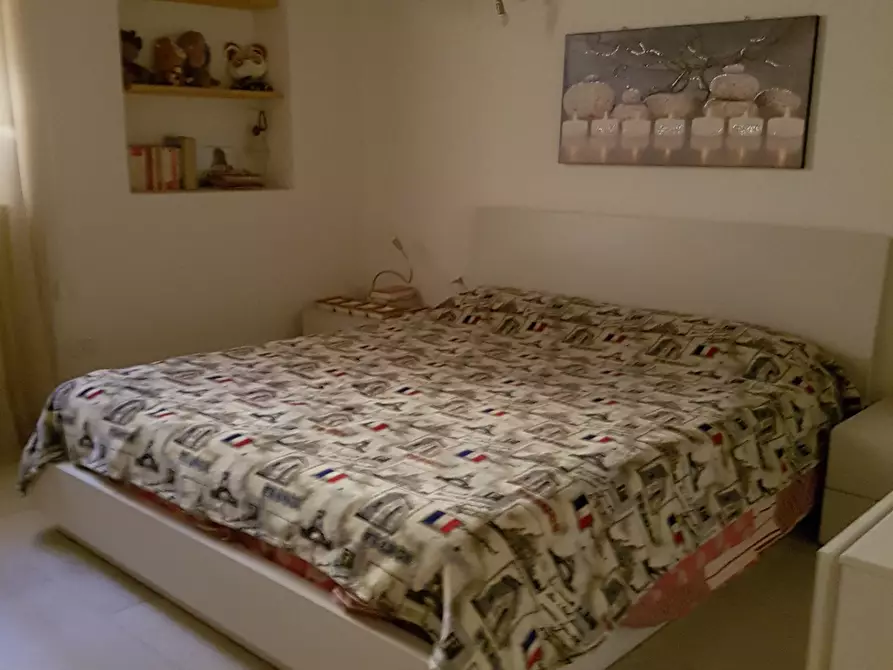 Immagine 5 di Appartamento in affitto  a Pavia