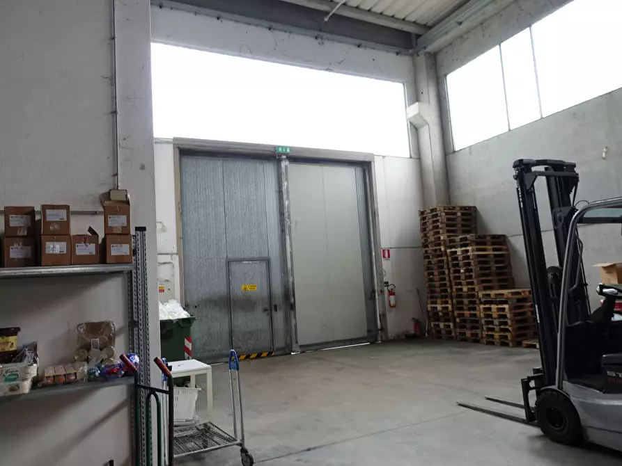 Immagine 6 di Capannone industriale in affitto  a Mestrino