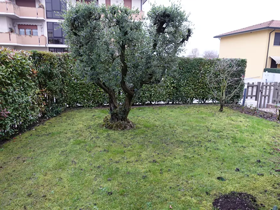 Immagine 5 di Casa bifamiliare in affitto  a Stra