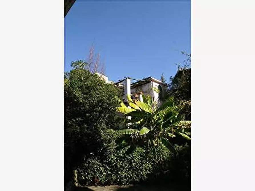 Immagine 10 di Appartamento in affitto  a Zoagli