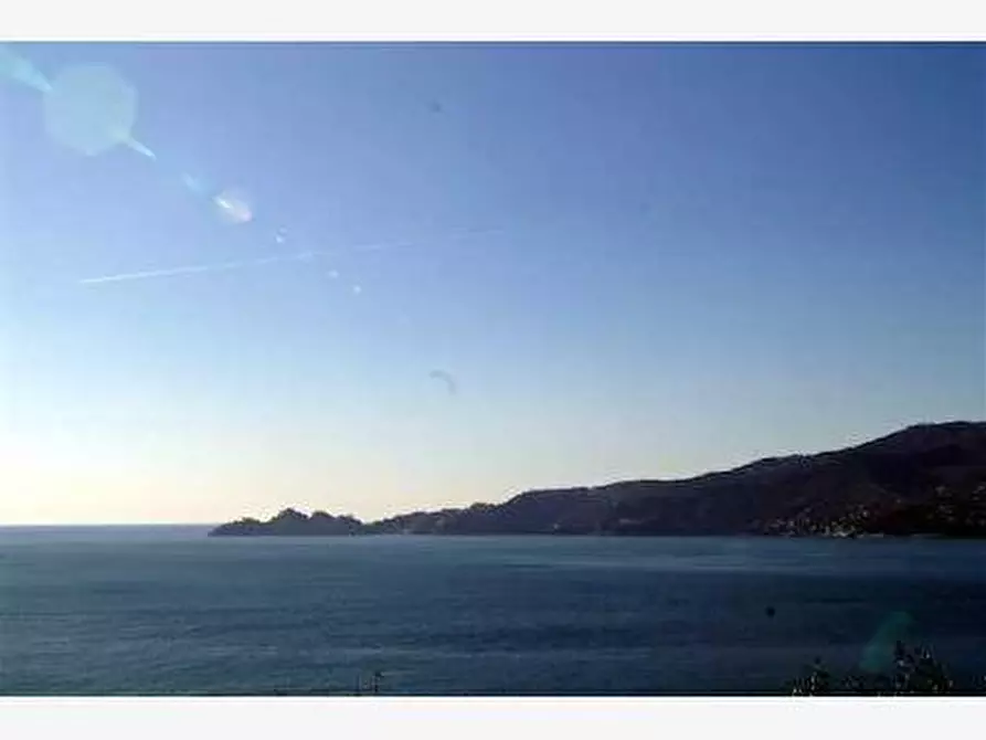 Immagine 8 di Appartamento in affitto  a Zoagli