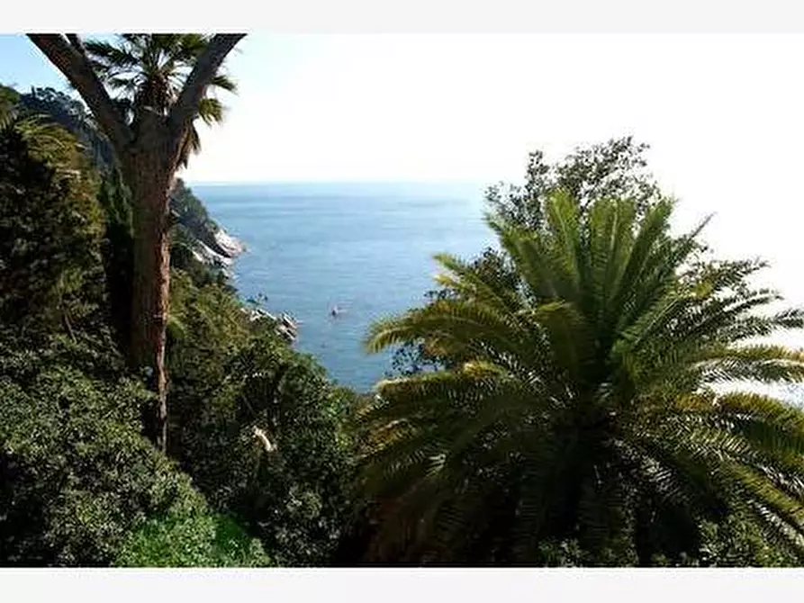 Immagine 12 di Appartamento in affitto  a Zoagli