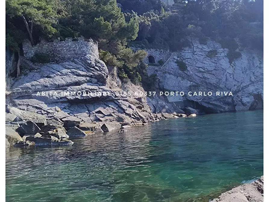 Immagine 11 di Appartamento in affitto  a Zoagli