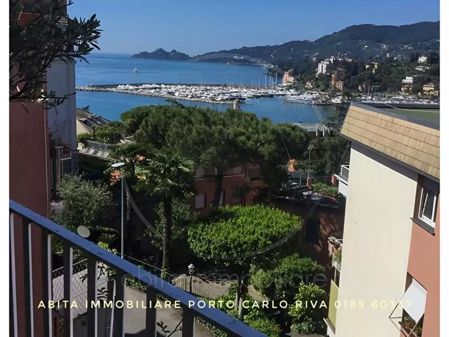 Immagine 11 di Appartamento in affitto  a Rapallo