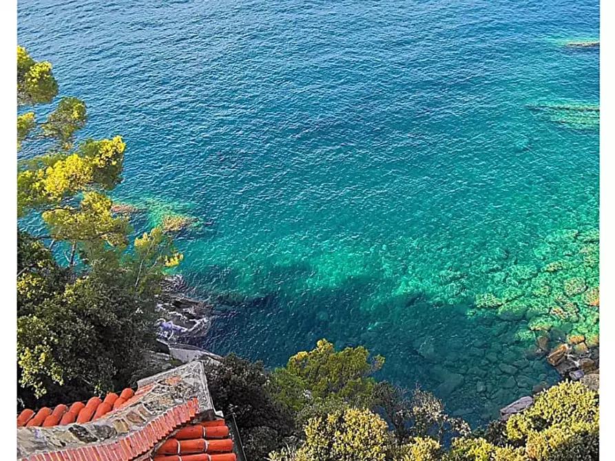 Immagine 11 di Appartamento in affitto  in via Aurelia a Zoagli