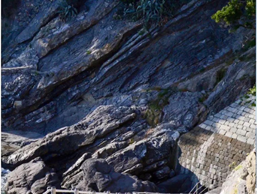 Immagine 14 di Appartamento in affitto  in via Aurelia a Zoagli