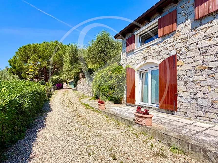 Immagine 6 di Villa in affitto  in cornice di s. ambrogio  a Zoagli