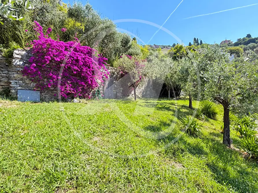 Immagine 25 di Villa in affitto  in cornice di s. ambrogio  a Zoagli