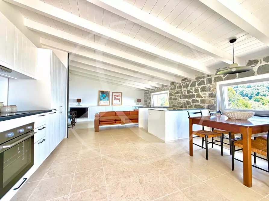 Immagine 15 di Villa in affitto  in cornice di s. ambrogio  a Zoagli