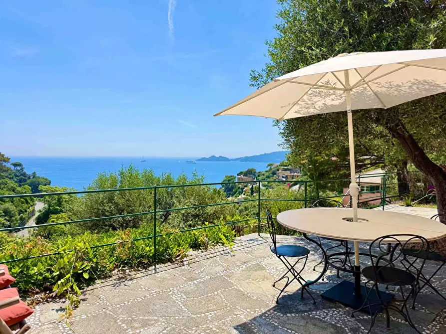 Immagine 18 di Villa in affitto  in cornice di s. ambrogio  a Zoagli