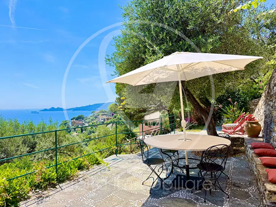 Immagine 3 di Villa in affitto  in cornice di s. ambrogio  a Zoagli