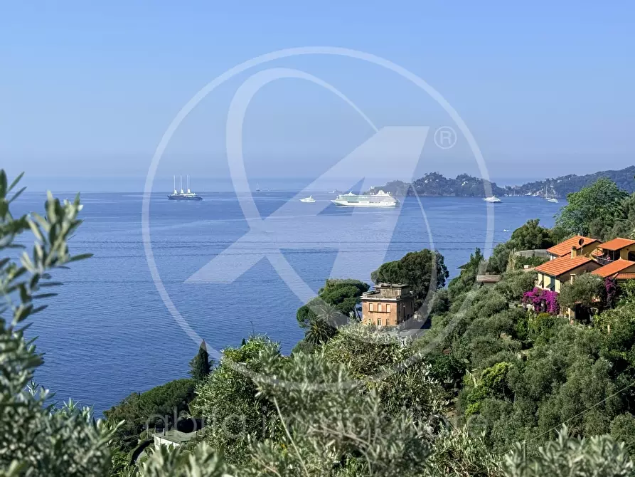 Immagine 19 di Villa in affitto  in cornice di s. ambrogio  a Zoagli