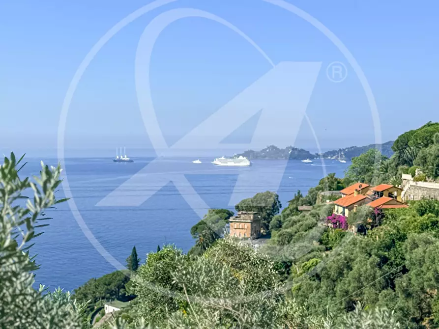 Immagine 20 di Villa in affitto  in cornice di s. ambrogio  a Zoagli