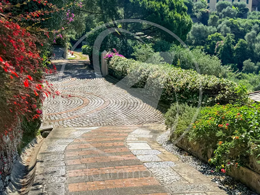Immagine 21 di Villa in affitto  in cornice di s. ambrogio  a Zoagli
