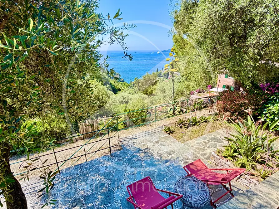 Immagine 4 di Villa in affitto  in cornice di s. ambrogio  a Zoagli