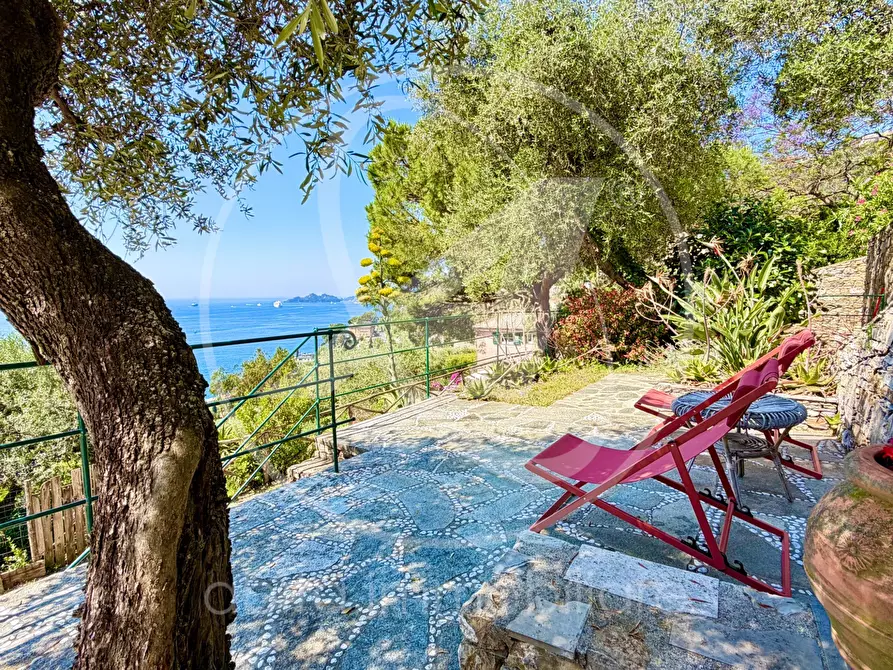 Immagine 1 di Villa in affitto  in cornice di s. ambrogio  a Zoagli