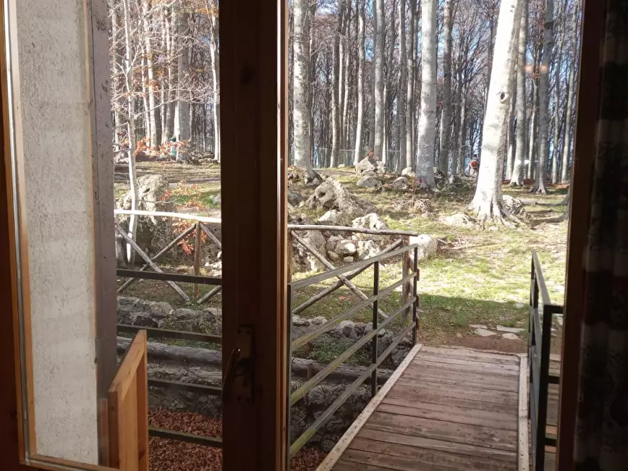 Immagine 7 di Appartamento in affitto  a Seggiano