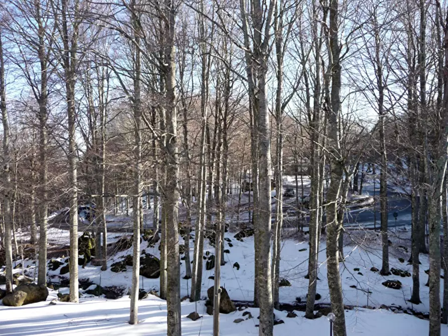 Immagine 14 di Appartamento in affitto  a Seggiano