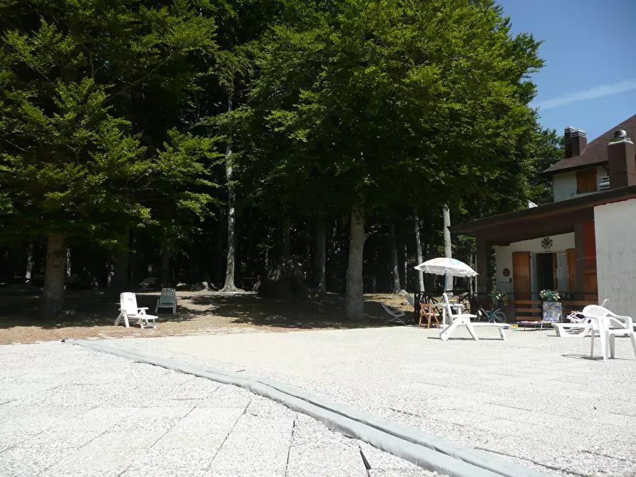 Immagine 3 di Appartamento in affitto  a Seggiano