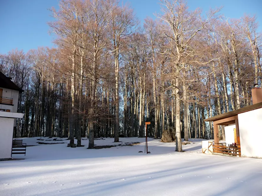 Immagine 4 di Appartamento in affitto  a Seggiano