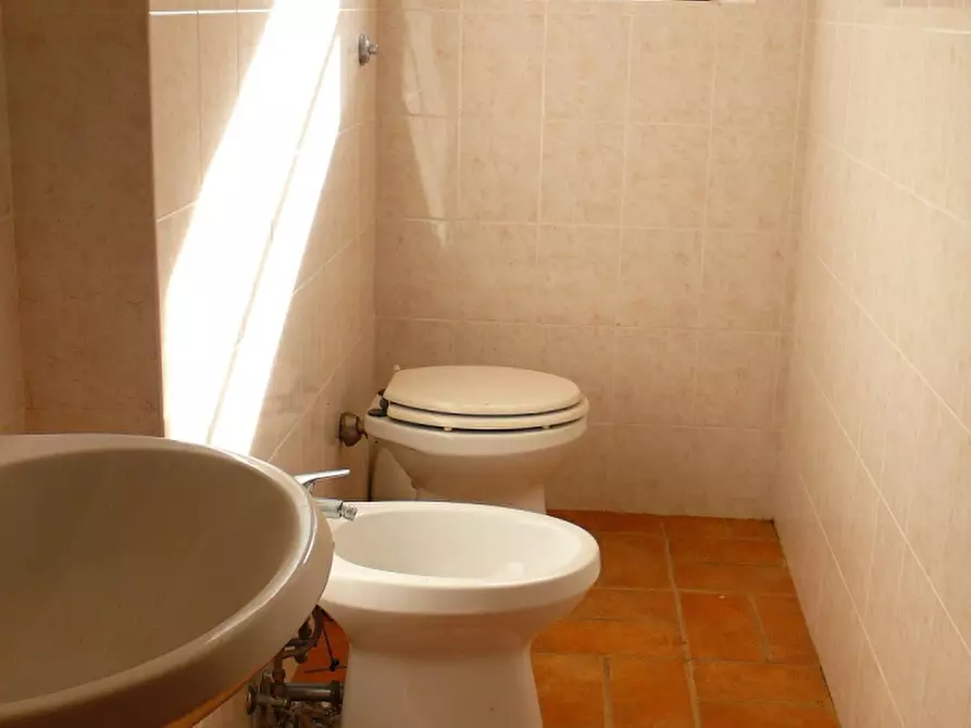 Immagine 5 di Appartamento in affitto  a Sorano