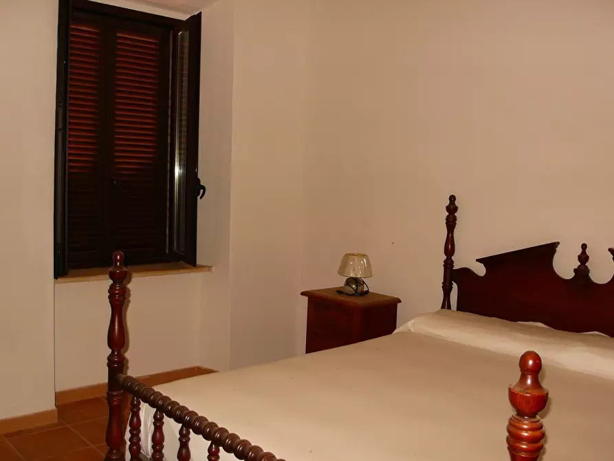 Immagine 6 di Appartamento in affitto  a Sorano