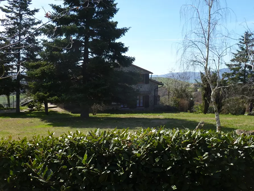 Immagine 2 di Rustico / casale in affitto  a Radicofani