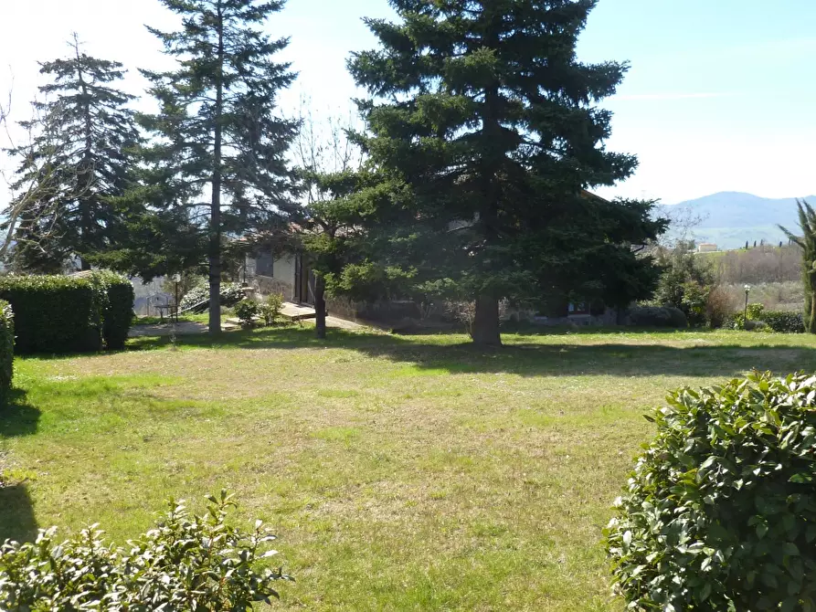 Immagine 3 di Rustico / casale in affitto  a Radicofani