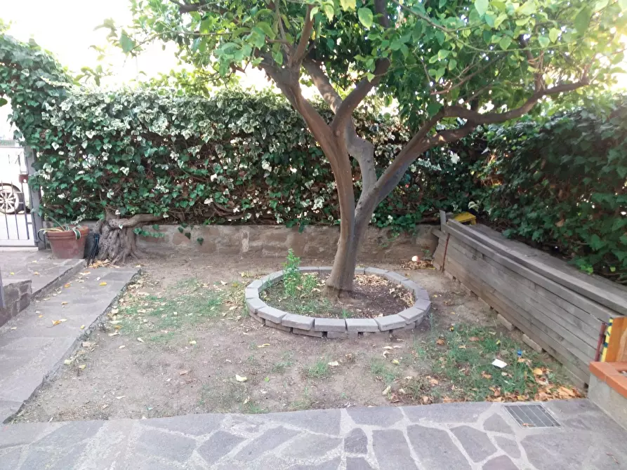 Immagine 10 di Appartamento in affitto  a Castiglione Della Pescaia