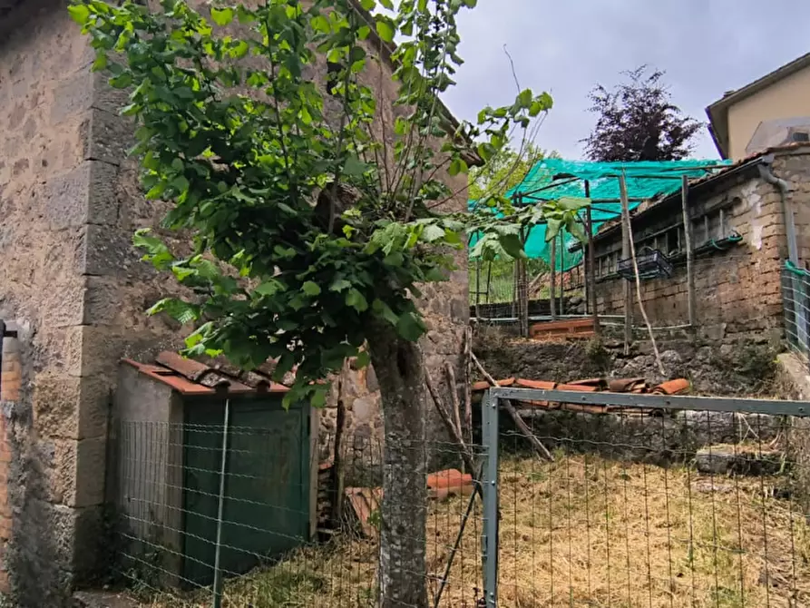 Immagine 3 di Terratetto in affitto  a Santa Fiora