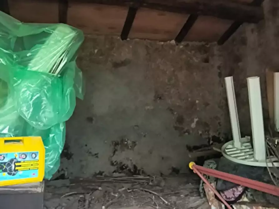 Immagine 11 di Terratetto in affitto  a Santa Fiora