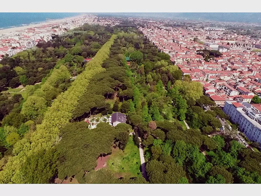 Immagine 13 di Ufficio in affitto  a Viareggio