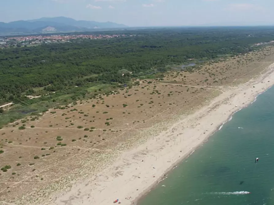 Immagine 4 di Casa indipendente in affitto  a Viareggio