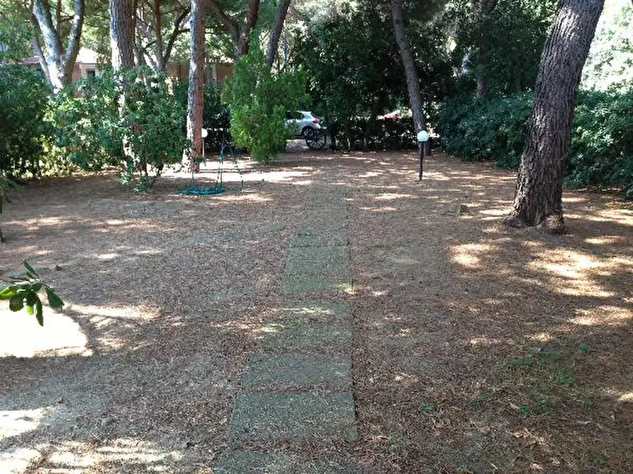 Immagine 2 di Villa in affitto  a Castiglione Della Pescaia