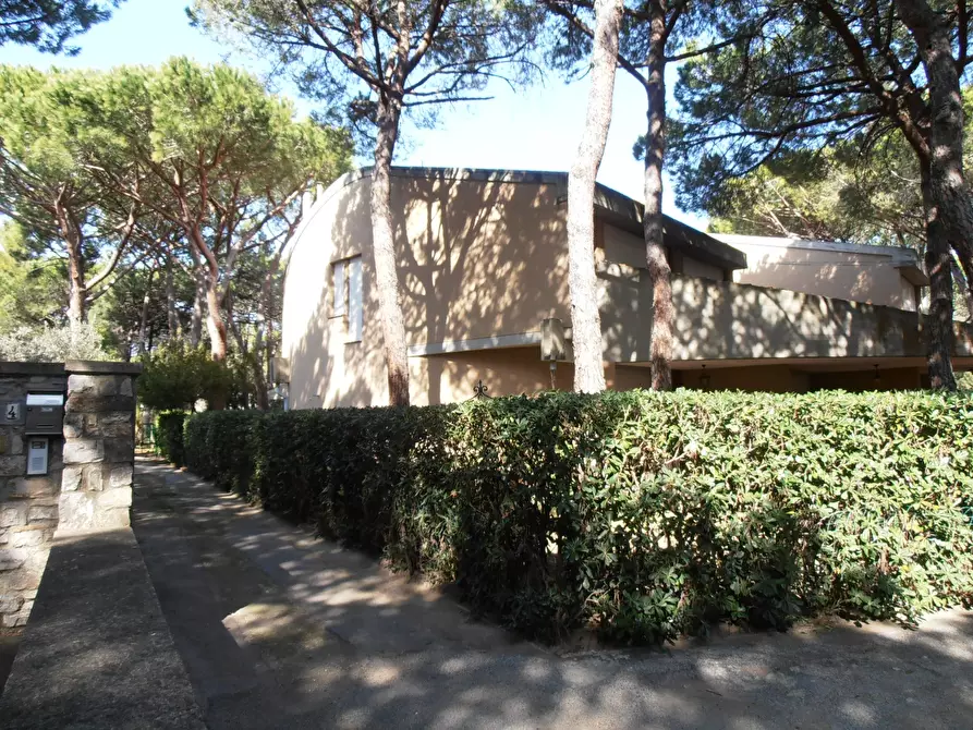 Immagine 1 di Villetta a schiera in affitto  a Castiglione Della Pescaia