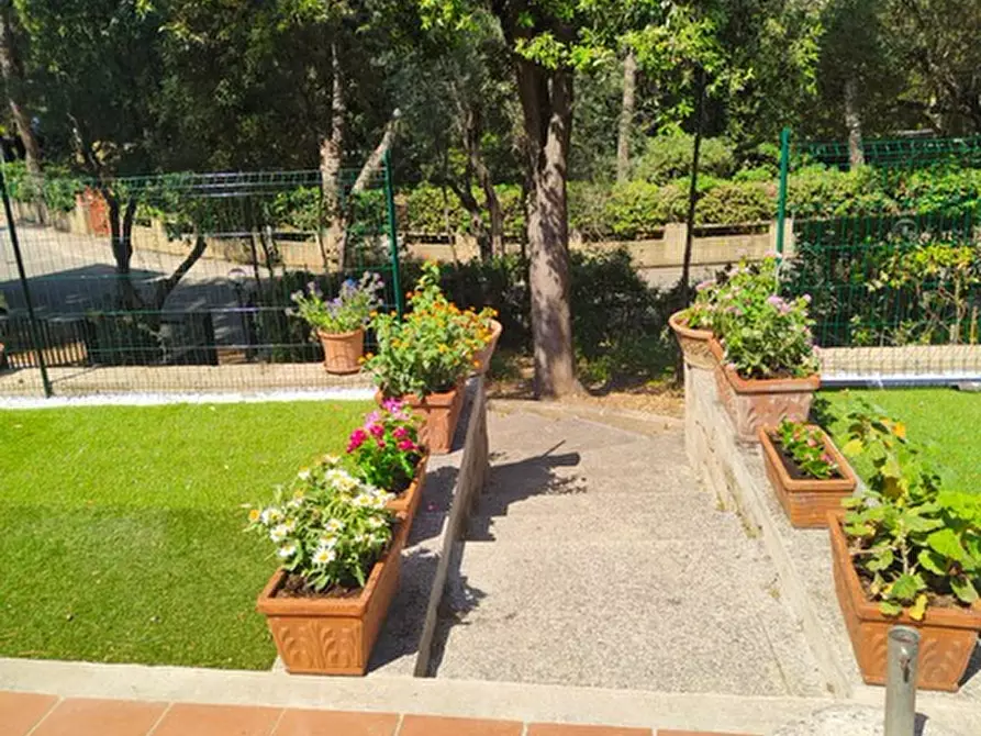 Immagine 5 di Villetta a schiera in affitto  a Castiglione Della Pescaia