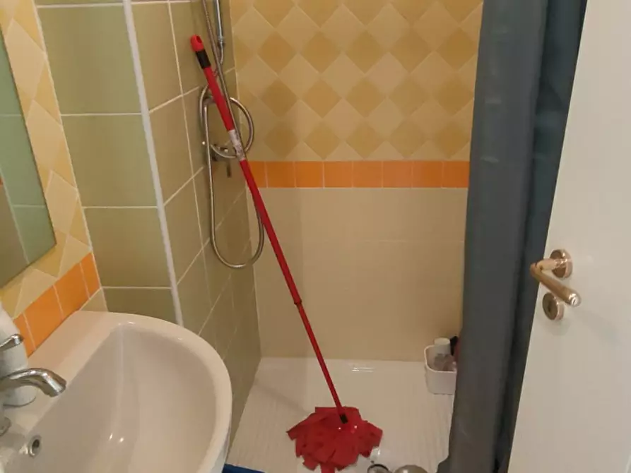 Immagine 11 di Appartamento in affitto  a Viareggio