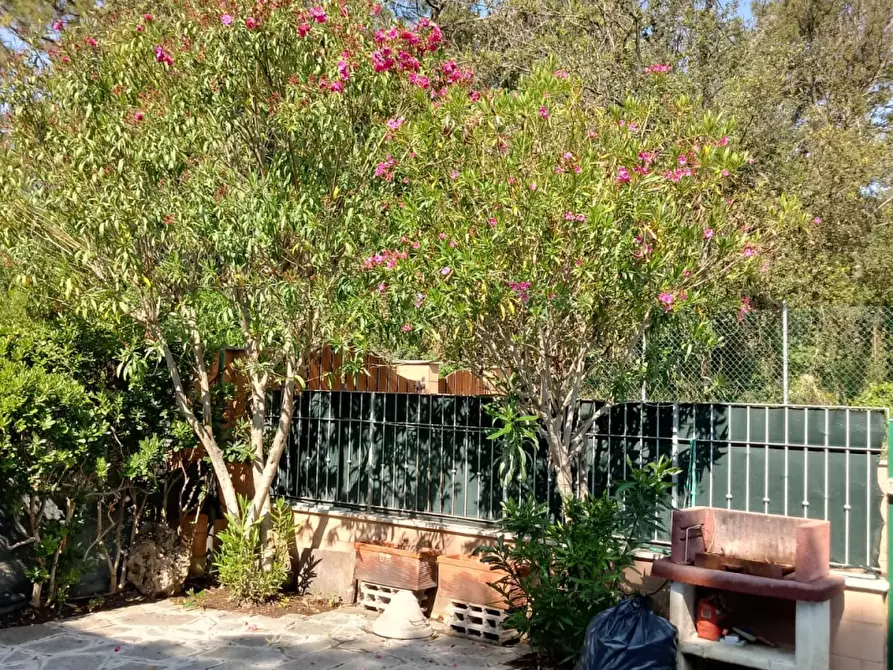 Immagine 15 di Appartamento in affitto  a Follonica