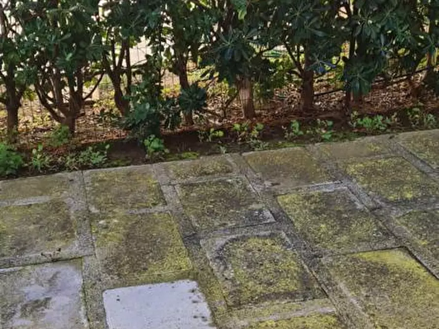 Immagine 8 di Appartamento in affitto  a Follonica