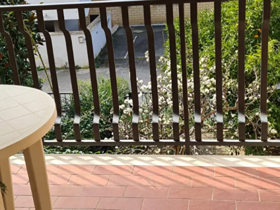 Immagine 4 di Appartamento in affitto  a Follonica