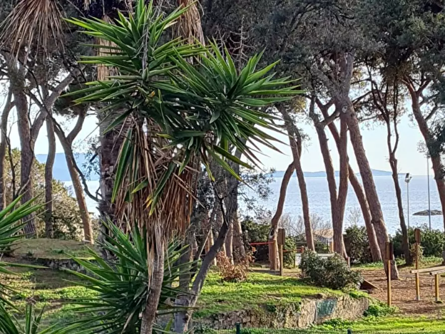 Immagine 1 di Appartamento in affitto  a Follonica