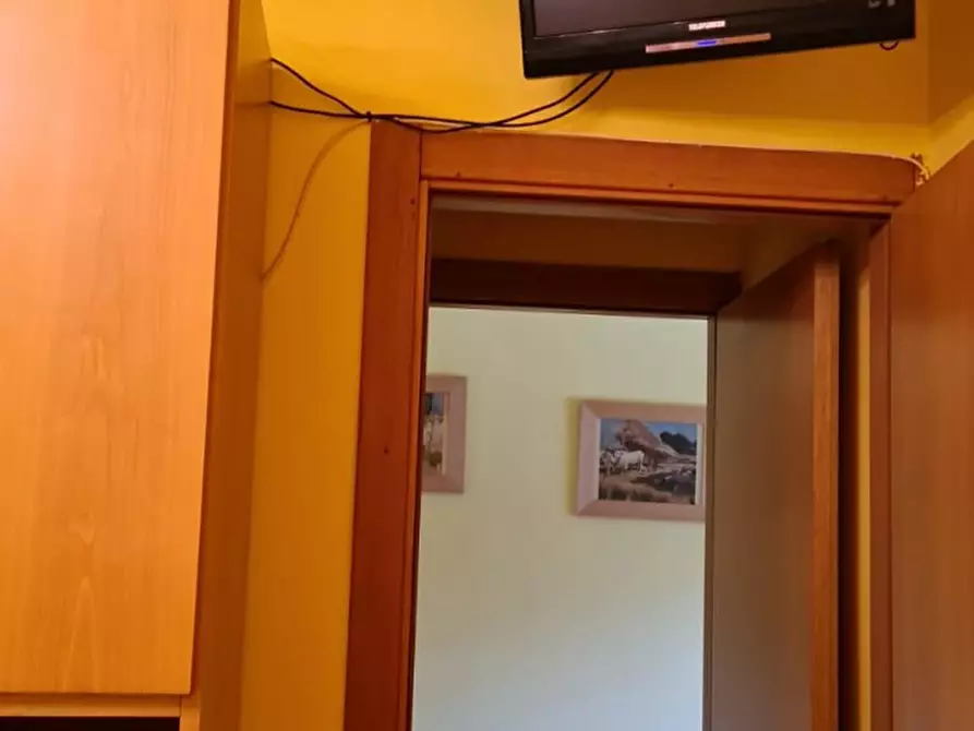 Immagine 9 di Appartamento in affitto  a Follonica